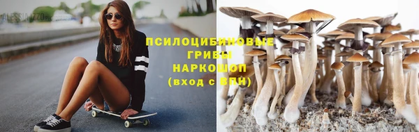 эйфоретик Алексеевка
