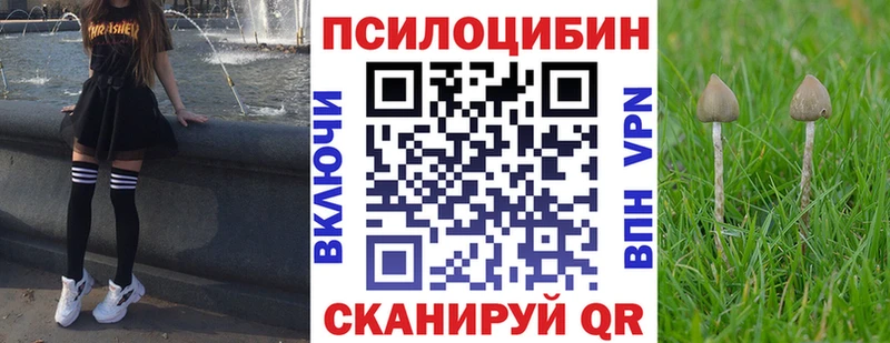 Псилоцибиновые грибы ЛСД  ОМГ ОМГ вход  Котово 